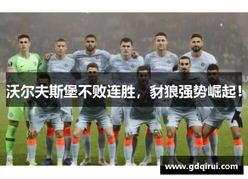 沃尔夫斯堡不败连胜，豺狼强势崛起！