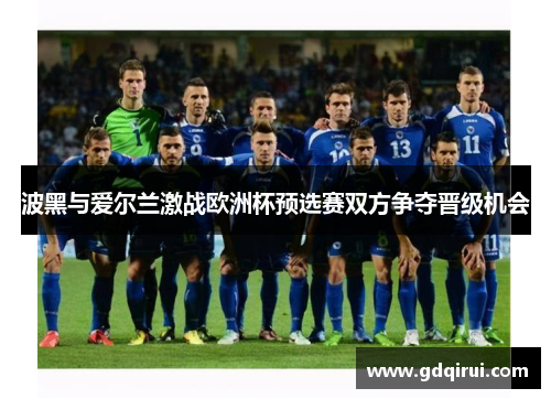 波黑与爱尔兰激战欧洲杯预选赛双方争夺晋级机会