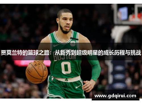 贾莫兰特的篮球之路：从新秀到超级明星的成长历程与挑战